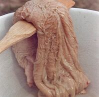 желудникот на камила за стимулирање на потенцијата